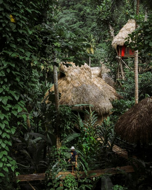 Camping in the Jungle: What to Expect
